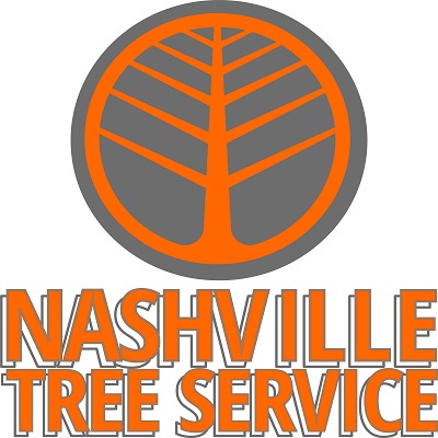 Nashville Tree Service NTS